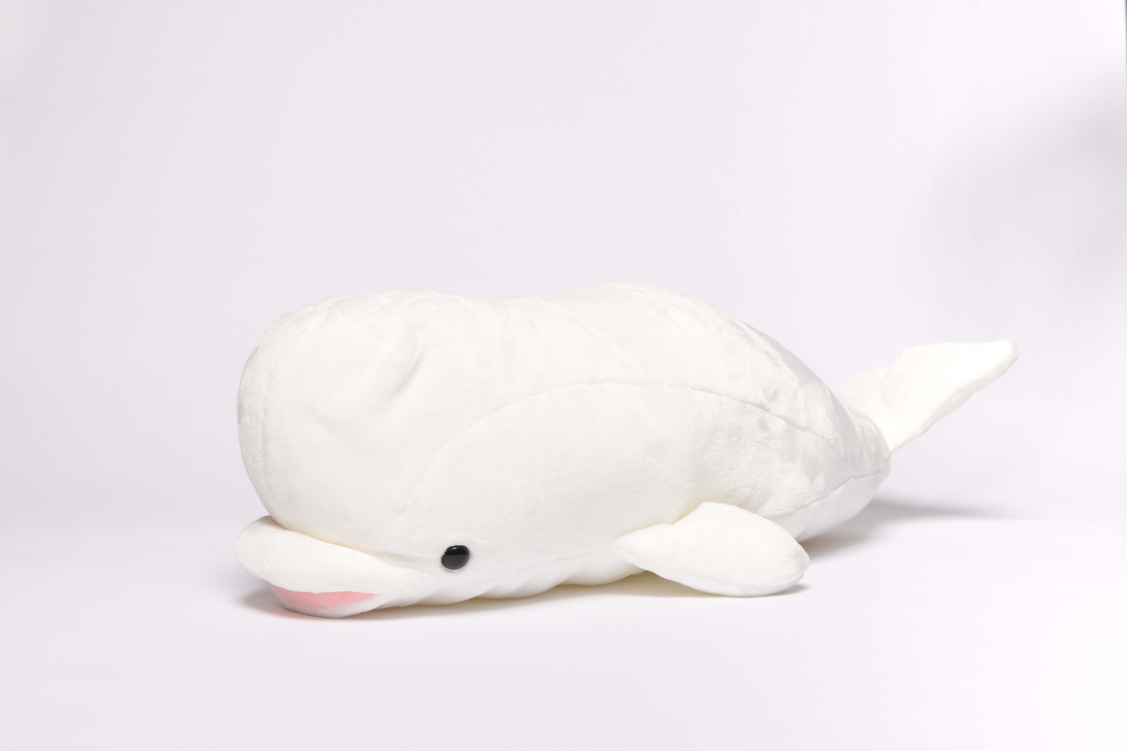 国内で当店のみ SMILEY - Beluga Series-White マイセン スワンホワイト コーヒーカップ＆ソーサー 000000