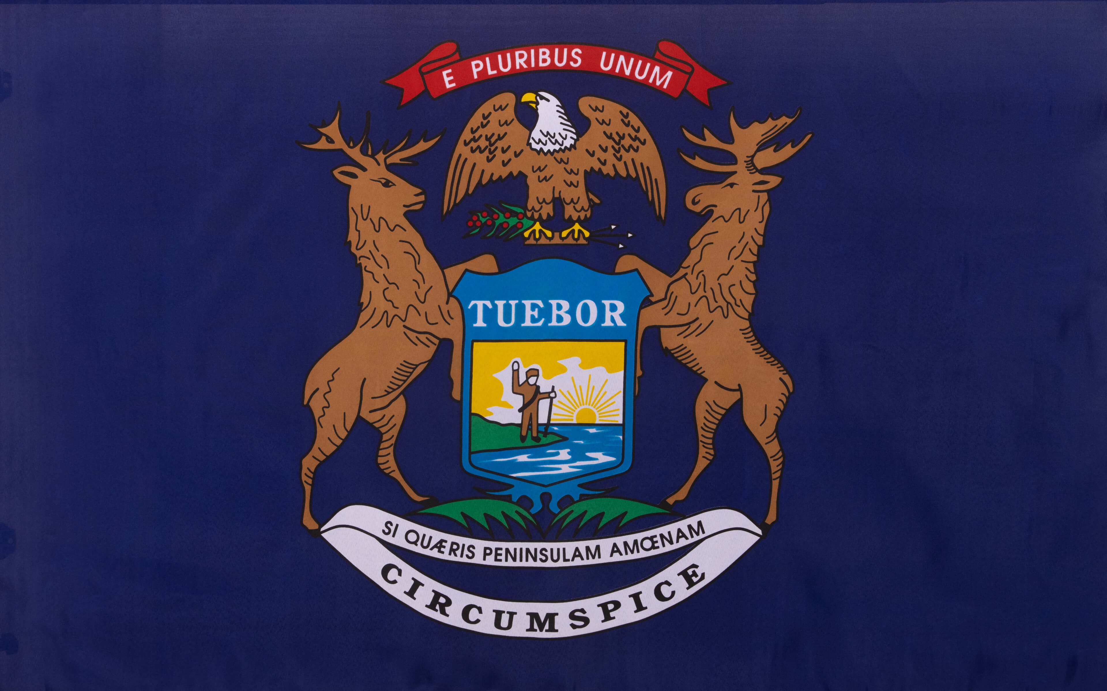 密西根州旗-圖片