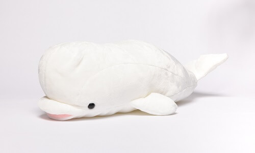 白鯨布偶圖片