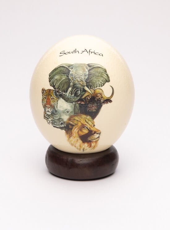 South African Ostrich Egg
