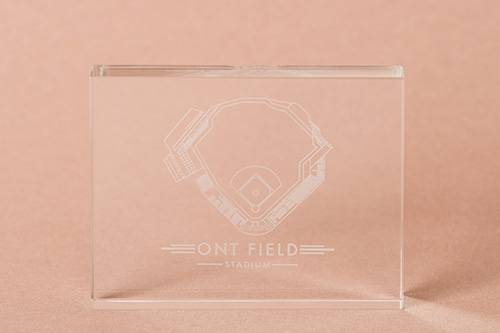 ONT Field Crystal Paperweight